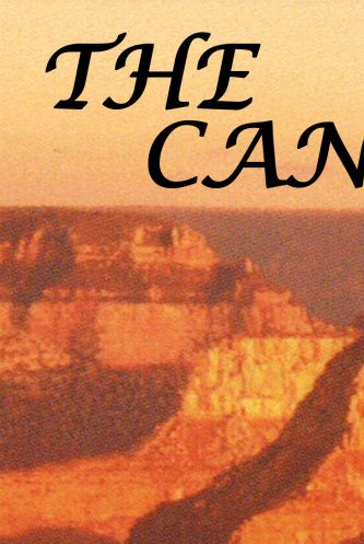 14 point font size. Paperback or e-book. 