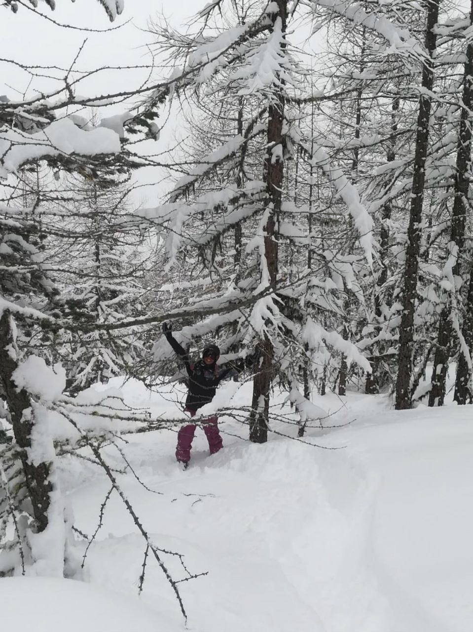 This is Wallis. 
This is when snow ⛄️ falls directly on the day you go 🎿 skiing
