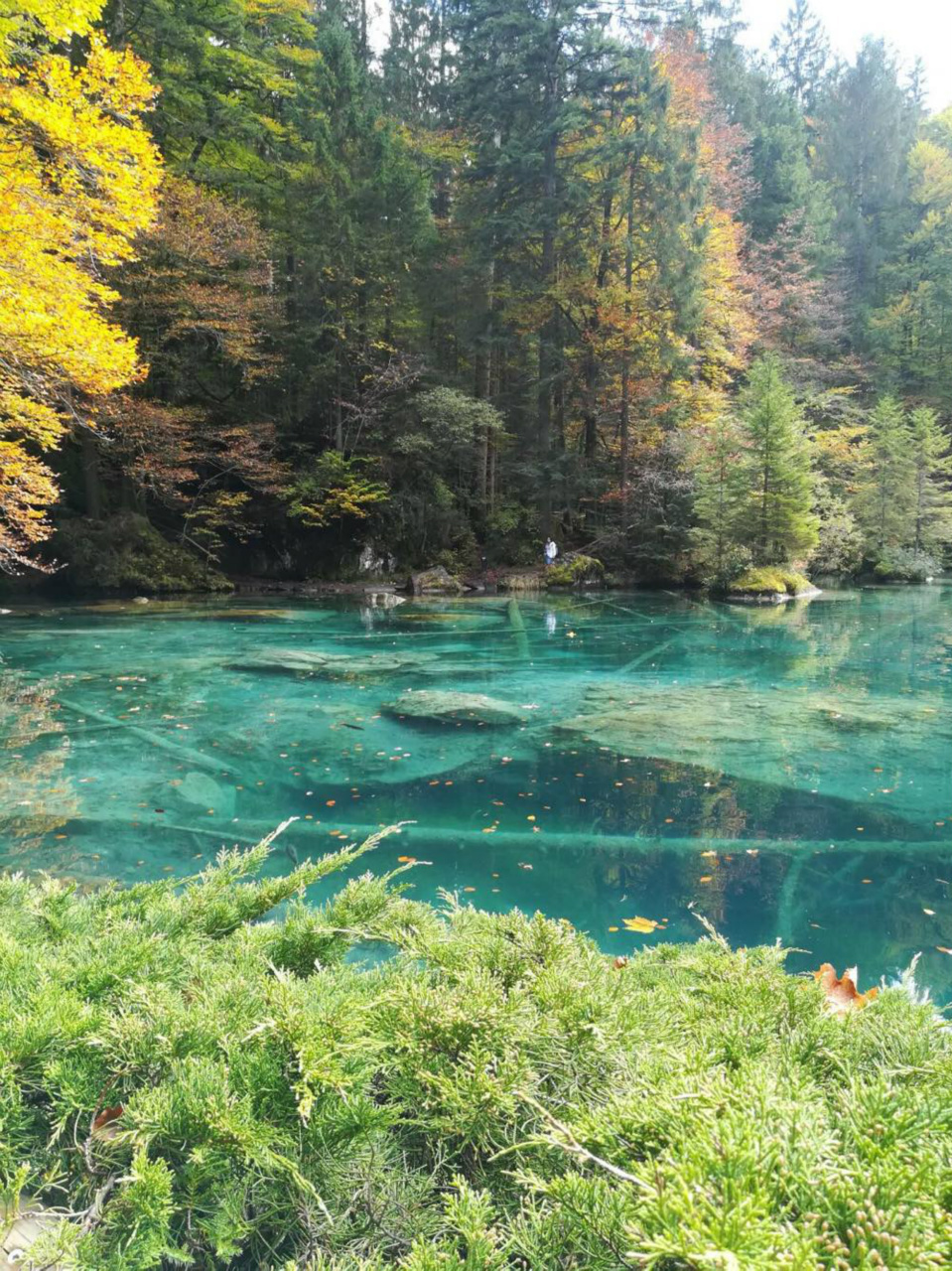 This photo is from a lake called Vierwaldsträttersee