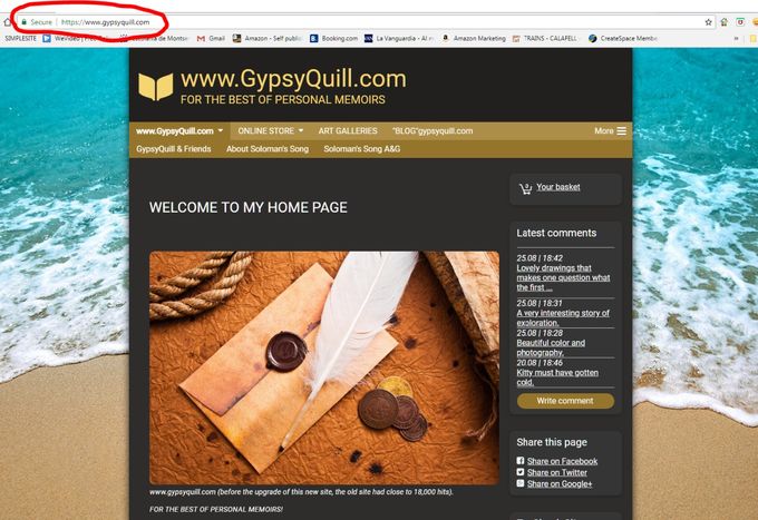 e.g.www.gypsyquill.com IS  100% SECURED BY SIMPLESITE AND mCAFFEE