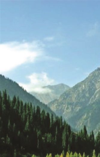 A 50 page collection of epic poetry. (see online store)
